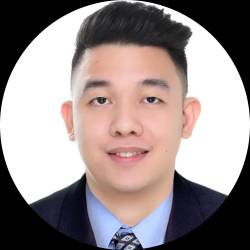 Virtual Professional