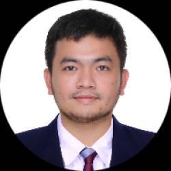 Software developer