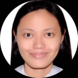 Civil Engineer|Project Scheduler