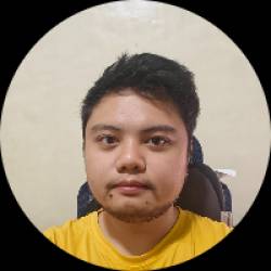 Game Developer