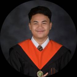 IT Professional