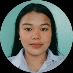 IT Analyst