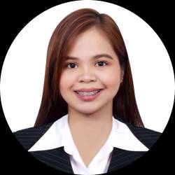 CIVIL ENGINEER