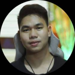 Content Writer