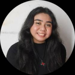 Multimedia Artist