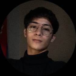 IT Specialist and Cyber Security