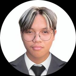 Facebook Advertisements Manager