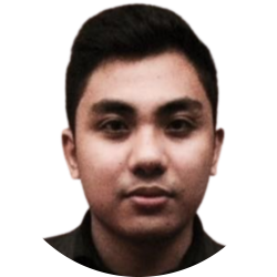 Data Analyst