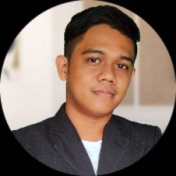 Software Developer