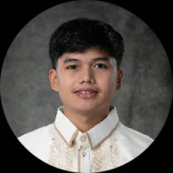 Electrical Engineer
