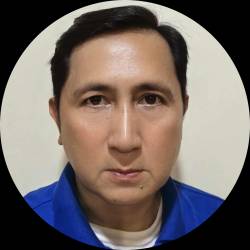 IT Project Manager