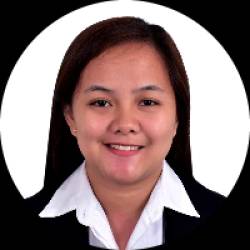 Civil Engineer