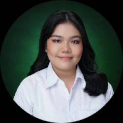 Multimedia Artist