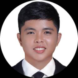 Registered Electrical Engineer