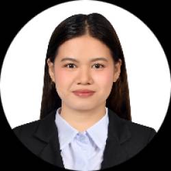 Electronics Engineer / Technical Support Engineer