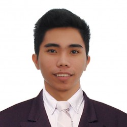 Web Developer / PHP Programmer