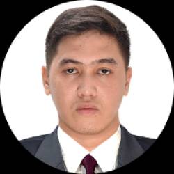 Electrical Engineer