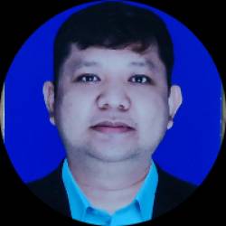 RTR Inventory Analyst