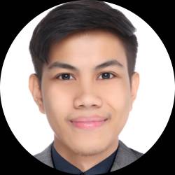 Test Analyst