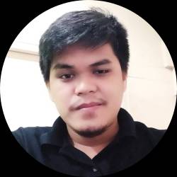 Wordpress Developer