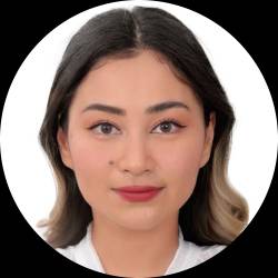 Virtual Assistant