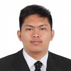 Wordpress Developer
