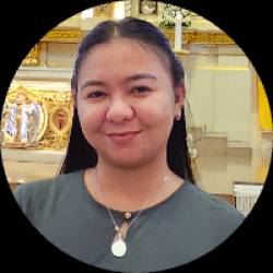 Income auditor