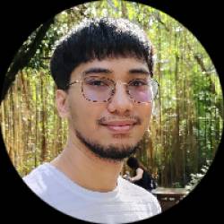 Software Developer