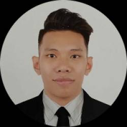 Experienced Data Analyst