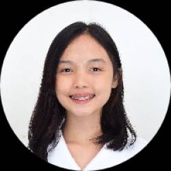 Virtual Executive Assistant