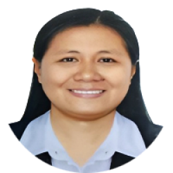 Civil Engineer