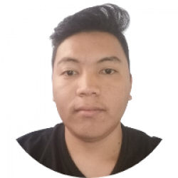 WordPress Developer| SEO |QA TEST | VA | Graphic Designer