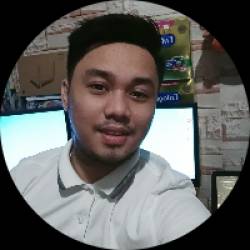 Website Security Analyst