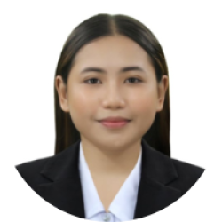 Executive Virtual Assistant