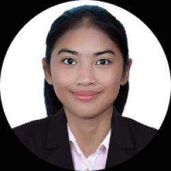 Civil Engineer