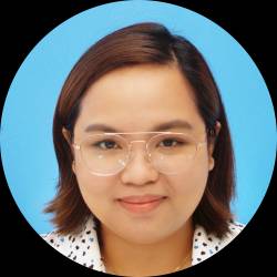 Software Developer