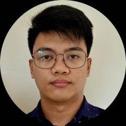 Software Developer