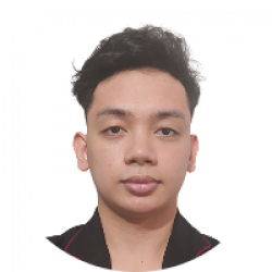 Freelancer