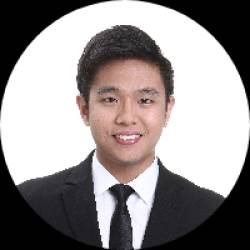 IT and Financial Audit Professional