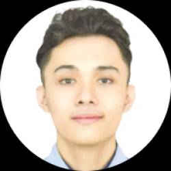 Software Developer