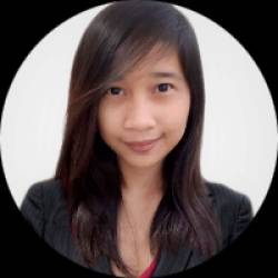 Virtual Assistant - IT Professional
