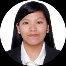 Electronics Engineer