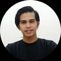 Freelancer