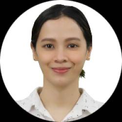 Project Engineer