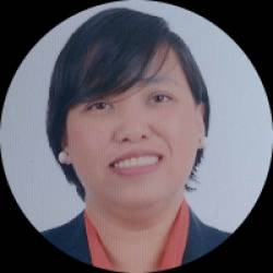 Data Analyst / Technical Support Engineer