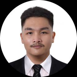 Mapper / Planning Assistant / Data Analyst