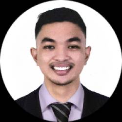 Physical Therapist