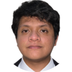 Civil Engineer/Video Game Tester