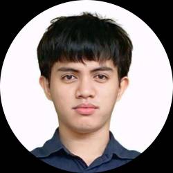 GoHighLevel Virtual Assistant