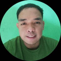Virtual Assistant